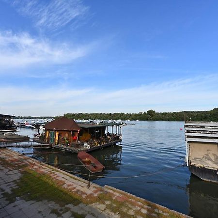 Hidden Gem Apartment Белград Екстериор снимка